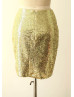 Light Gold Sequin Knee Length Skirt